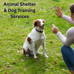 Easy Shop Store 24-Animal Shelter & Dog Training Services