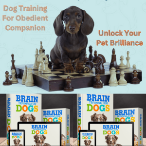 Easy Shop Store 24-Dog Training For Obedient Companion