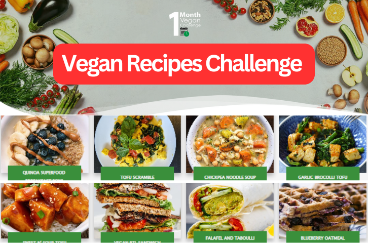 Easy shop store 24- Easy Vegan Recipes Challenge